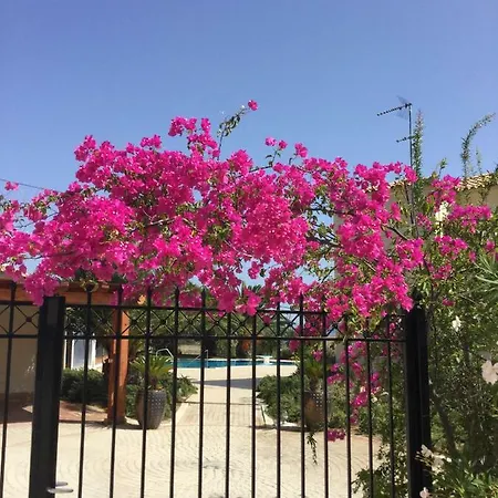 فيلة Phoenix, بورتو خيلي