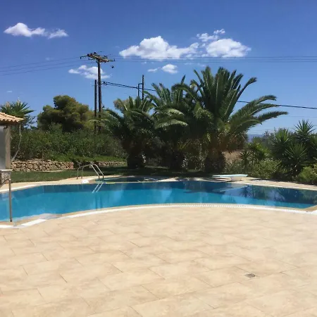 Phoenix, فيلة *